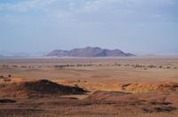 Namibia - Nature Drive in der namib