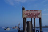 Namibia - Walvis Bay - Katamaran-Fahrt