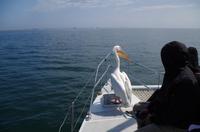 Namibia - Walvis Bay