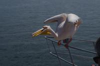 Namibia - Walvis Bay - Frühstück