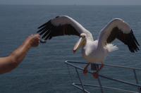 Namibia - Walvis Bay - Frühstück