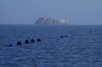 Namibia - Walvis Bay - Austernzucht