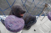 Namibia - Walvis Bay - Hallo!