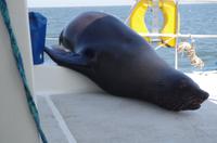 Namibia - Walvis Bay - Hallo!