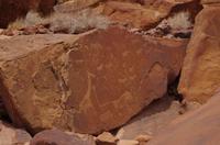 Namibia - Twyfelfontein - Felsgravuren