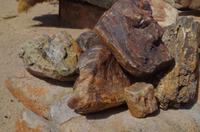 Namibia - versteinerter Wald