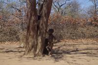 Namibia - Besuch bei den Himbas