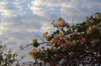 Namibia - Eagle Tented Lodge