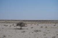 Namibia - Etosha Nationalpark