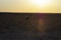 Namibia - Etosha Nationalpark - Sonnenuntergang