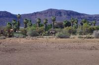 Namibia - Mount Etjo Safari Lodge