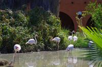 Namibia - Mount Etjo Safari Lodge