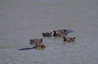 Namibia - Mount Etjo Safari Lodge - Empfang