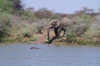 Namibia - Mount Etjo Safari Lodge - Empfang