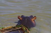 Namibia - Mount Etjo Safari Lodge