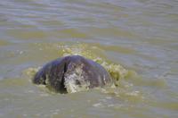 Namibia - Mount Etjo Safari Lodge