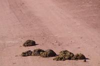 Namibia - Pirschfahrt im Reservat