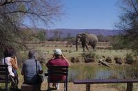 Namibia - Mount Etjo Safari Lodge