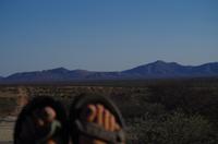 Namibia - Pirschfahrt im Reservat