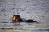 Namibia - Morgenstimmung am Mount Etjo