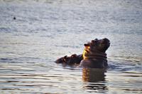Namibia - Morgenstimmung am Mount Etjo