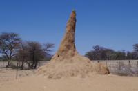 Namibia - Unterwegs - riesiger Termitenhügel