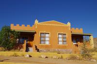 Namibia - Klein Aus Vista Desert Horse (1)