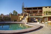 Namibia - Klein Aus Vista Desert Horse (2)