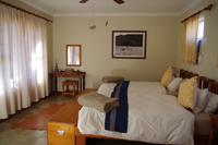 Namibia - Klein Aus Vista Desert Horse (3)