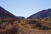 Namibia - Namib Naukluft Park (4)