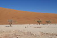Namibia - Dead Vlei