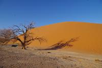 Namibia - Sanddünen im Sosslusvlei (3)