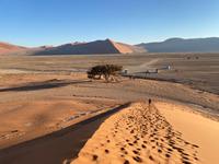 Namibia - Ausblick von Düne 45