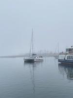 Namibia - Katamaranfahrt in Walvis Bay (1)