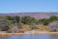 Namibia - Mt. Etjo Safari Lodge (3)