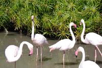 Namibia - Mt. Etjo Safari Lodge (5)