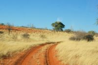 8-Webervogelsiedlung.