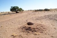 10-Erdferkelbehausung