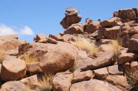 33-Giants Playground