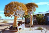 50-Canyon Road House