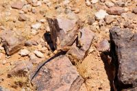 63-Fish River Canyon 