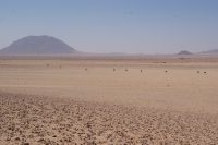 79-Familie Strauß auf Tour