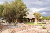 133-The Elegant Desert Lodge