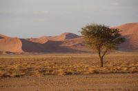 140-Namib Naukluft Park