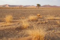 146-Namib Naukluft Park