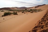 153-Namib Naukluft Park