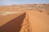 155-Namib Naukluft Park
