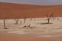 158-Namib Naukluft Park