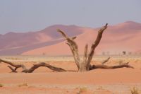 175- im Namib Naukluft Park