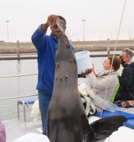 205-Bootstour Walvis Bay